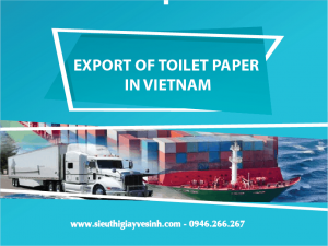 Export of toilet paper in Vietnam
