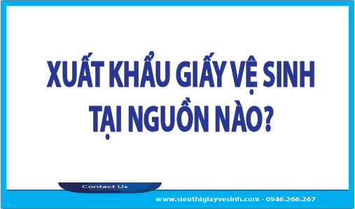 Xuất Khẩu Giấy Vệ Sinh Tại Nguồn Nào?