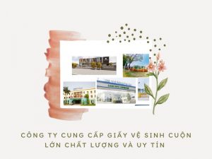 Công ty cung cấp giấy vệ sinh cuộn lớn chất lượng