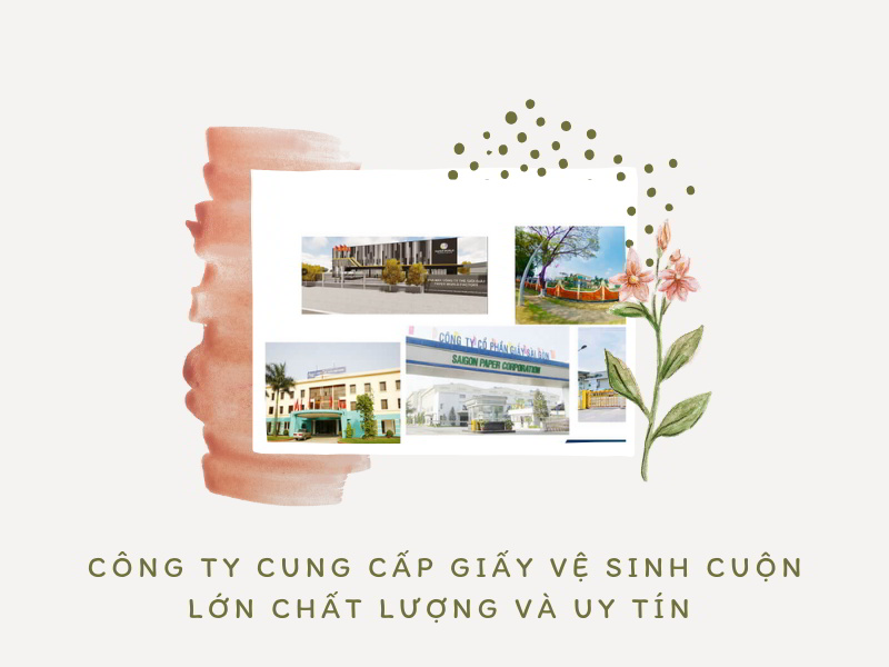 Công ty cung cấp giấy vệ sinh cuộn lớn chất lượng