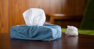 Hộp đựng khăn giấy tại nhà giàu