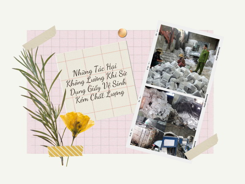 Những tác hại khôn lường khi sử dụng giấy vệ sinh kém chất lượng