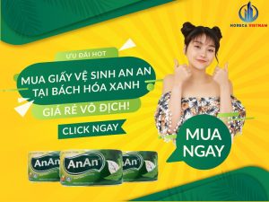 Mua giấy vệ sinh an an tại Bách Hóa Xanh giá rẻ vô địch