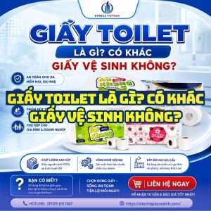 Horeca Việt Nam nhà cung cấp giấy toilet giá sỉ tận xưởng giao hàng tận nơi