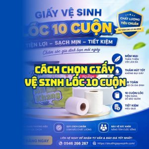 Horeca Việt Nam nhà cung cấp giấy vệ sinh lốc 10 cuộn giá sỉ tốt nhất giao hàng tận nơi