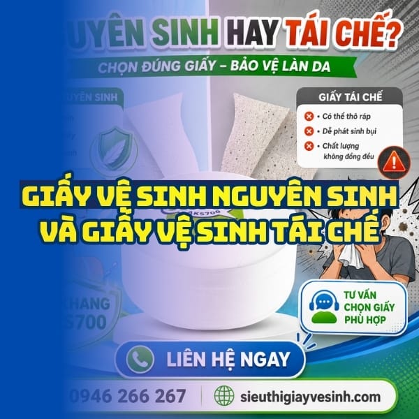 Cách phân biệt giấy vệ sinh nguyên sinh và tái chế uy tín tại Horeca Việt Nam
