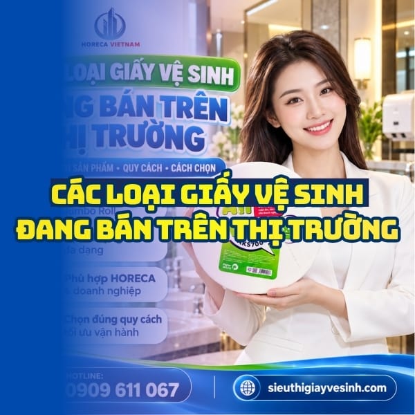 Cách chọn các loại giấy vệ sinh đang bán trên thị trường tại Horeca Việt Nam