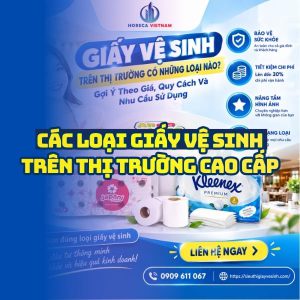 Giấy vệ sinh trên thị trường có những loại nào cao cấp giá tốt?
