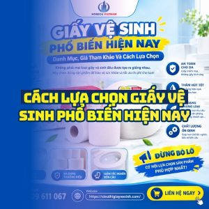 Horeca Việt Nam nhà phân phối giấy vệ sinh phổ biến hiện nay giá sỉ tận xưởng giao hàng tận nơi